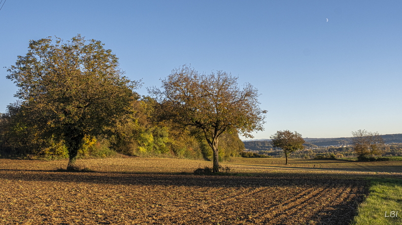 DSCF1290.jpg