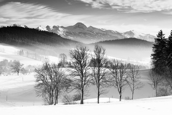 Mariette Cividino Reynaud