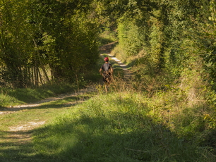 gaugi Trail26  9200222